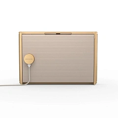 Bang & Olufsen Beosound Level Gold Tone/Light Oak